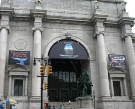 AMNH facade