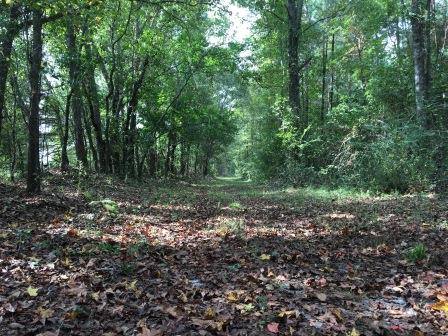 22519267_1944339395592575_5945756040149729161_n(1)